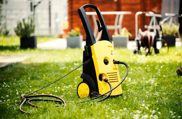 Animal Enclosure Cleaning in Brocton, NY